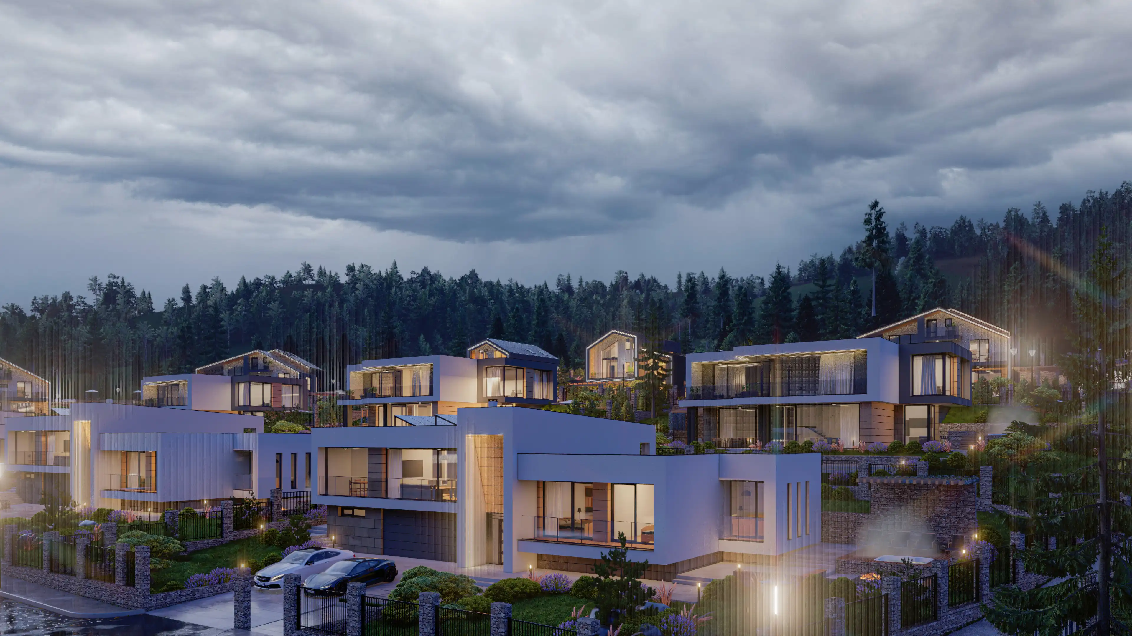 Проект снимка